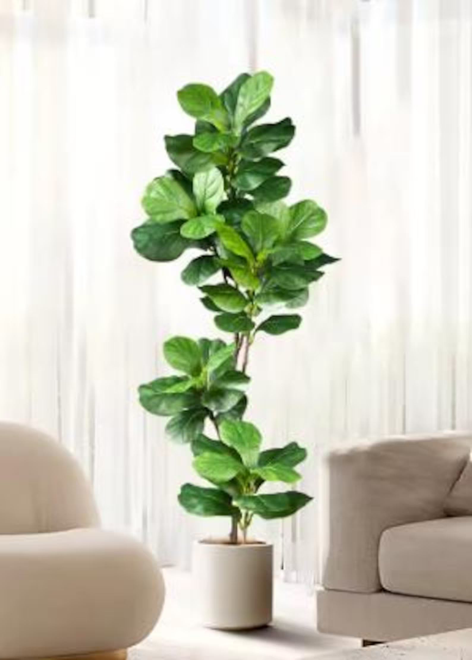 Large Artificial Ficus Tree